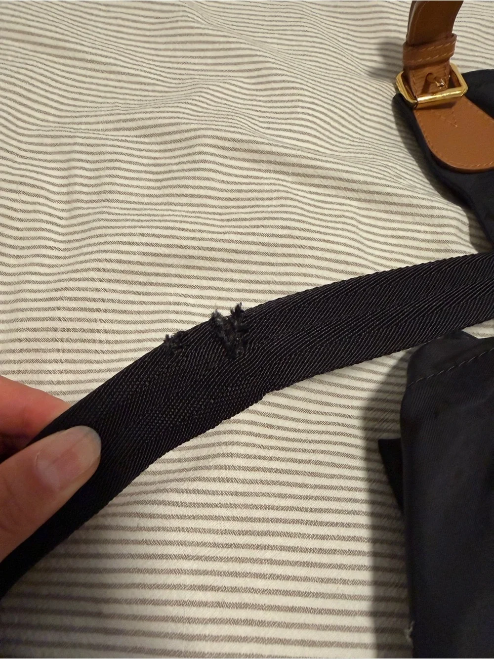 Burberry Black Backpack with Brown Leather Accents